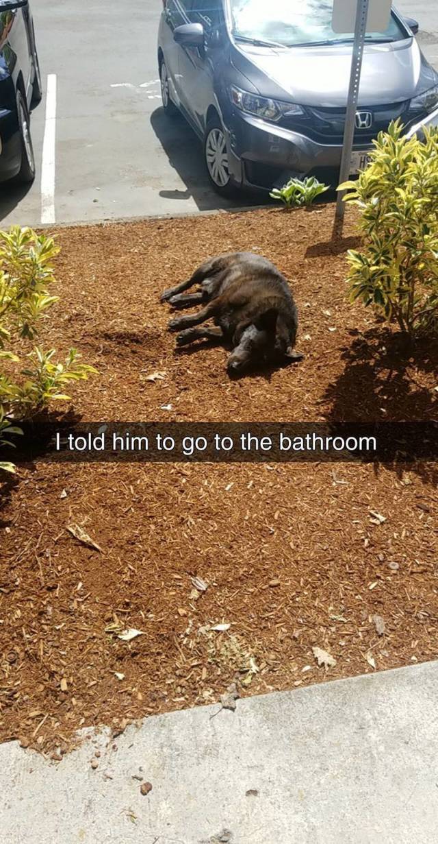 daily picdump 97 pics 29.html - 97 HD Photos | Premium Gallery 2018