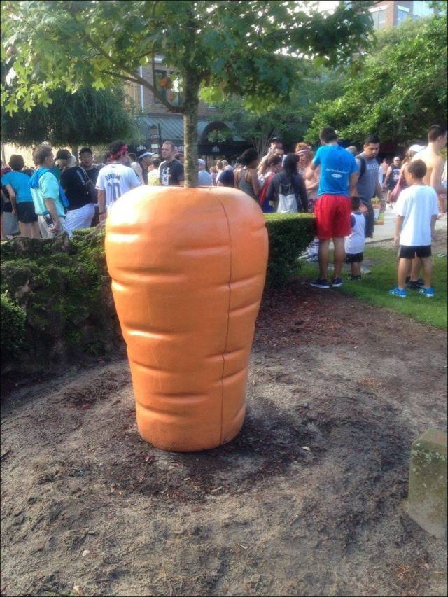 daily picdump 97 pics 29.html - 97 HD Photos | Premium Gallery 2018