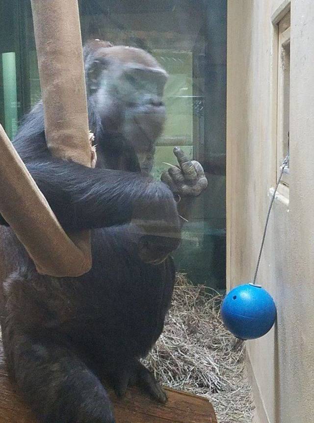 daily picdump 97 pics 29.html - 97 HD Photos | Premium Gallery 2018