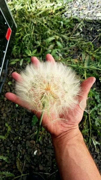 Daily Picdump [WEEKEND EDITION]