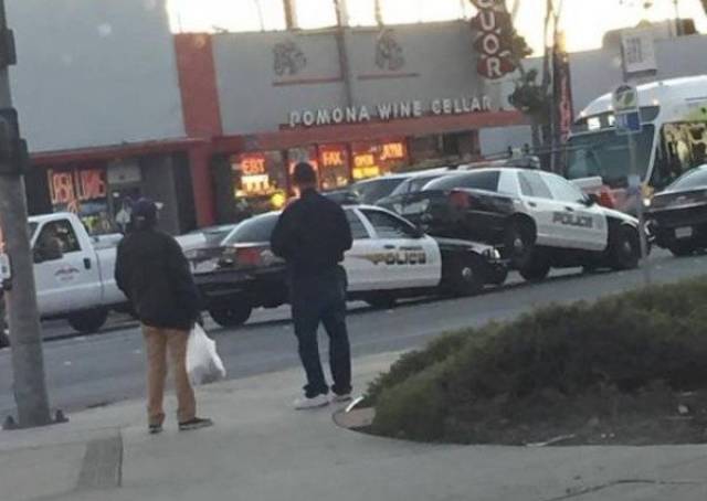 Daily Picdump [WEEKEND EDITION]