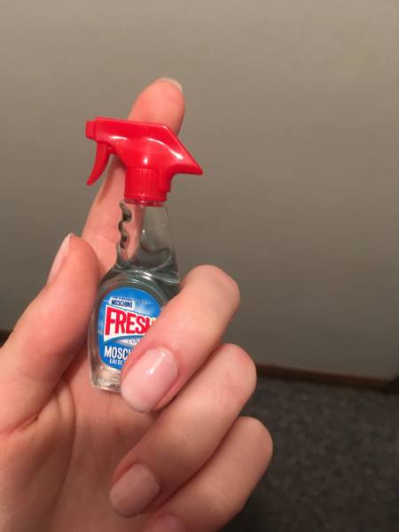 daily picdump weekend edition 51 pics 7.html - 51 HD Photos | Premium Gallery 2018