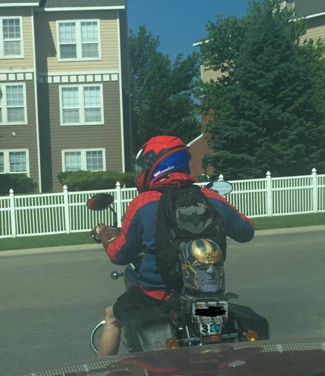 daily picdump weekend edition 51 pics 7.html - 51 HD Photos | Premium Gallery 2018