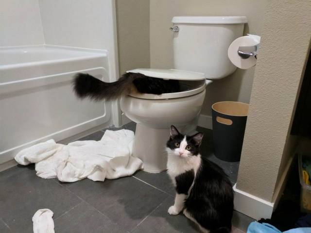 daily picdump 99 pics 26.html - 99 HD Photos | Premium Gallery 2018