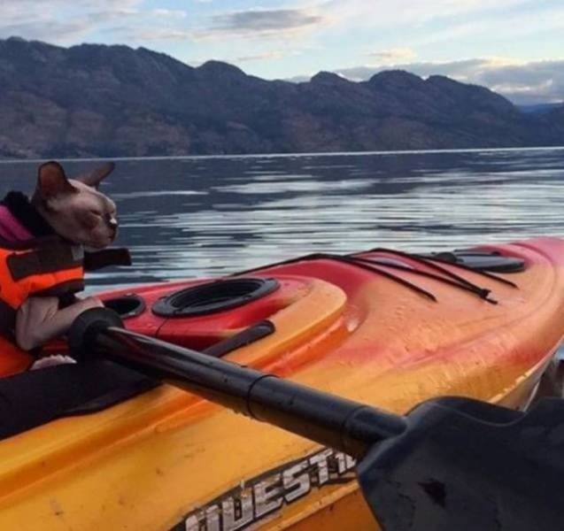 daily picdump 99 pics 26.html - 99 HD Photos | Premium Gallery 2018