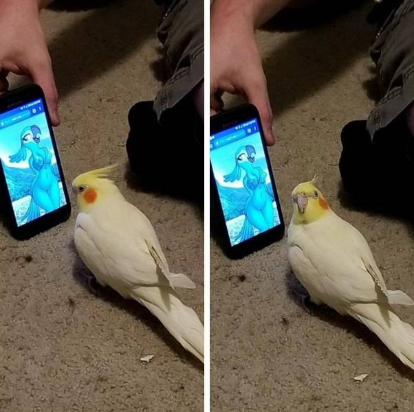 daily picdump 99 pics 26.html - 99 HD Photos | Premium Gallery 2018