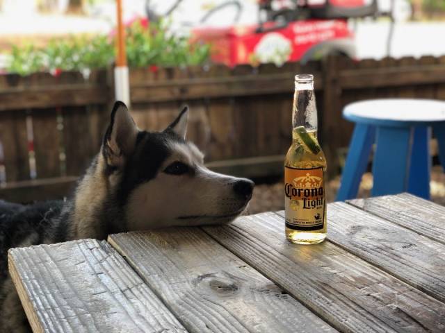 daily picdump 99 pics 26.html - 99 HD Photos | Premium Gallery 2018