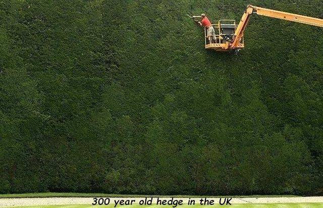 daily picdump 99 pics 26.html - 99 HD Photos | Premium Gallery 2018