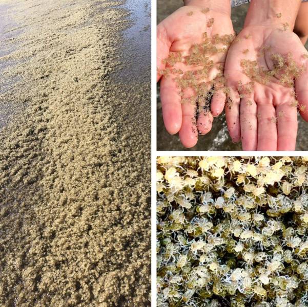 daily picdump 99 pics 26.html - 99 HD Photos | Premium Gallery 2018