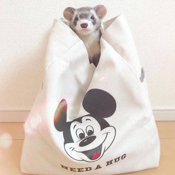 daily picdump 99 pics 26.html - 99 HD Photos | Premium Gallery 2018