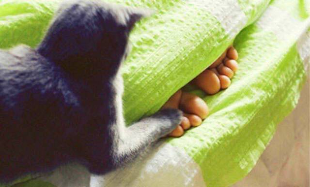 daily picdump 99 pics 26.html - 99 HD Photos | Premium Gallery 2018