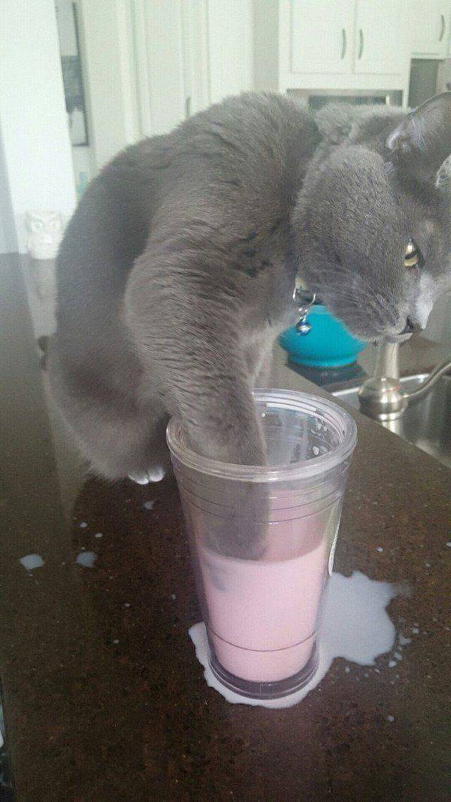 daily picdump 99 pics 26.html - 99 HD Photos | Premium Gallery 2018