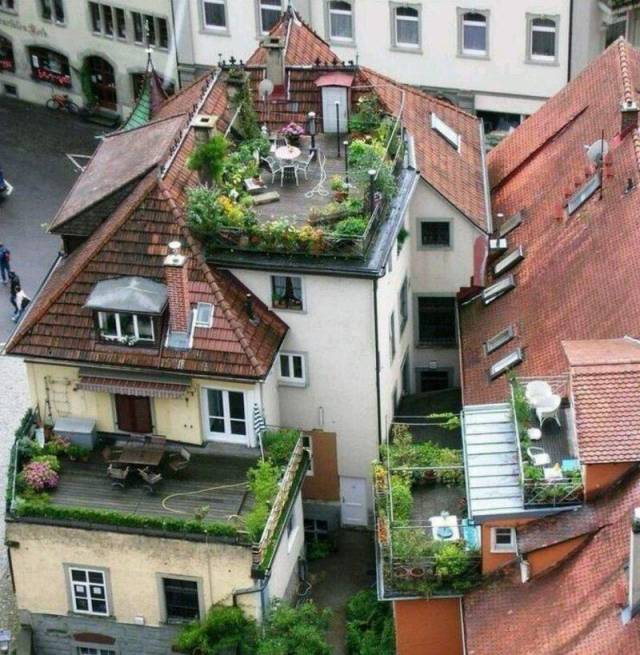 daily picdump 99 pics 26.html - 99 HD Photos | Premium Gallery 2018