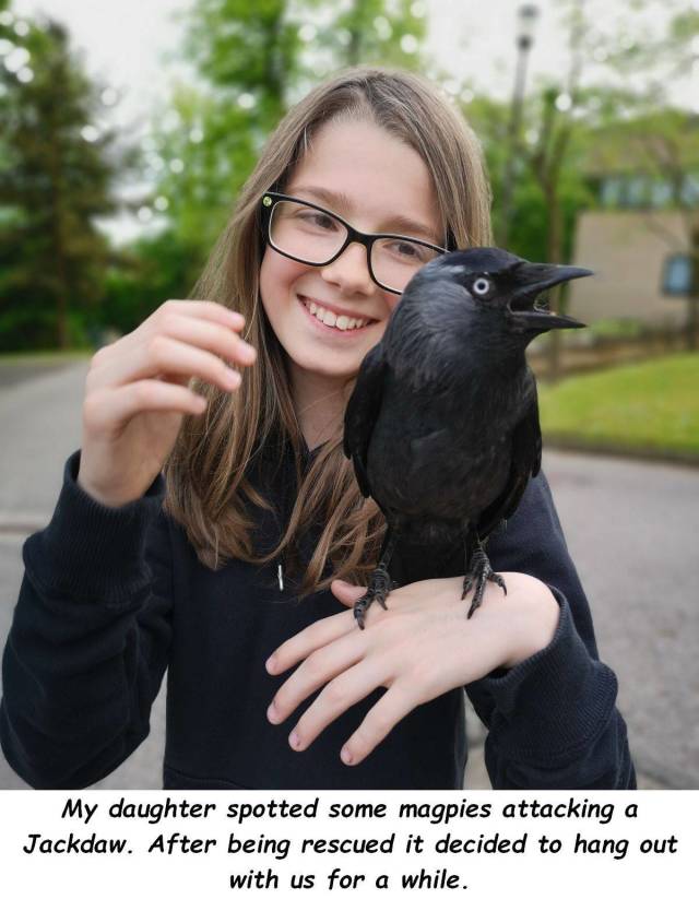 daily picdump 99 pics 26.html - 99 HD Photos | Premium Gallery 2018