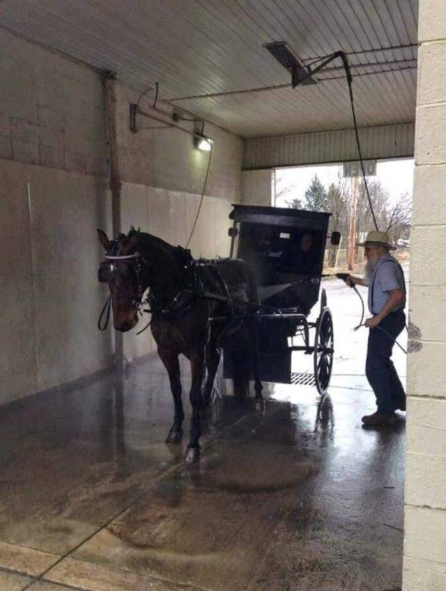 daily picdump 99 pics 26.html - 99 HD Photos | Premium Gallery 2018