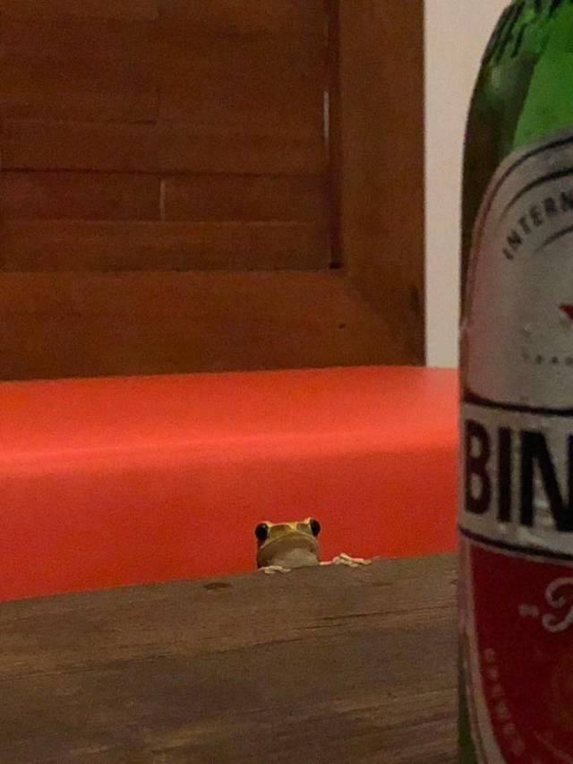 daily picdump 99 pics 26.html - 99 HD Photos | Premium Gallery 2018