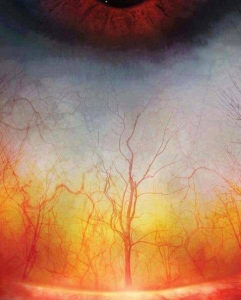 These Photos Don’t Contain What You See On Them