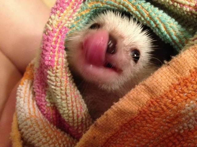daily picdump 105 pics 44.html - 105 HD Photos | Premium Gallery 2018