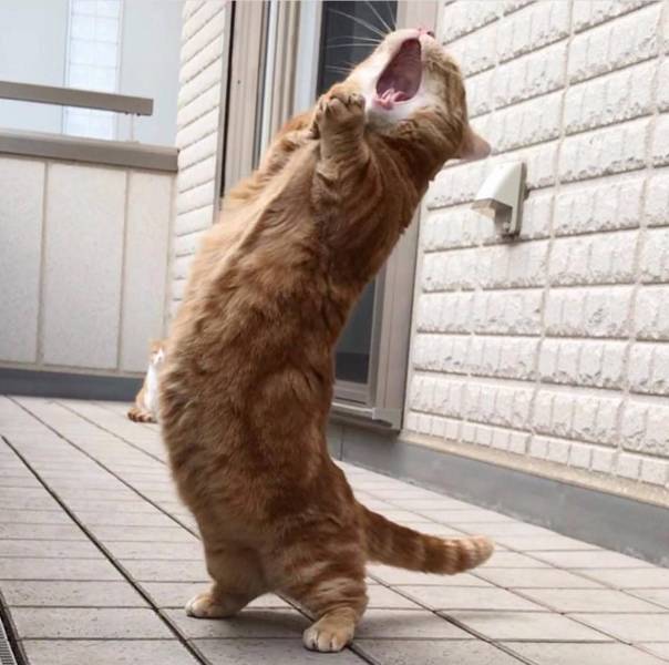 daily picdump weekend edition 83 pics 12.html - 83 HD Photos | Premium Gallery 2018
