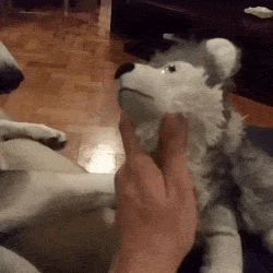 Don’t Be Jealous – It’s Too Obvious