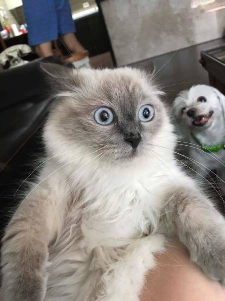 Don’t Be Jealous – It’s Too Obvious