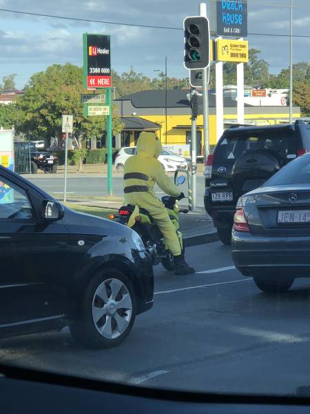 Morning Picdump