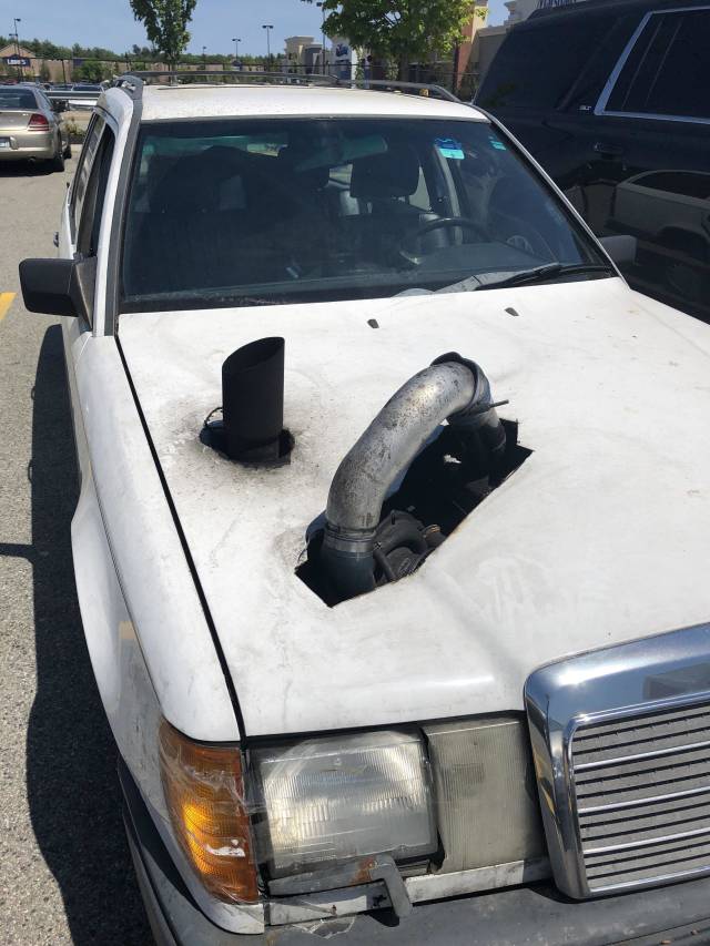 morning picdump 53 pics 38.html - 53 HD Photos | Premium Gallery 2018