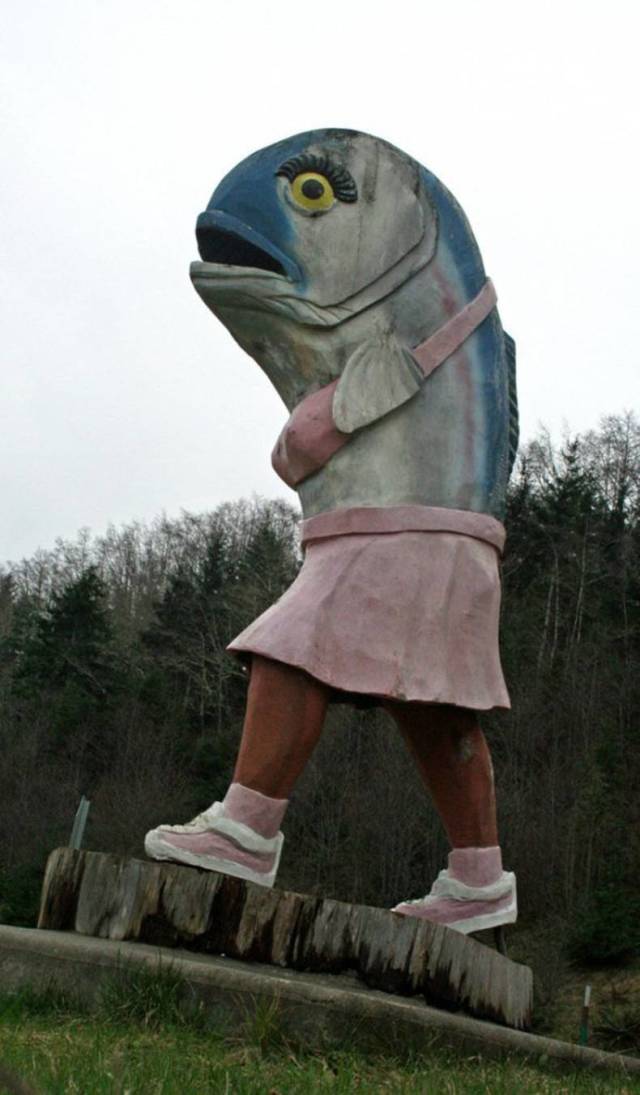 Hard-to-explain WTF Photos