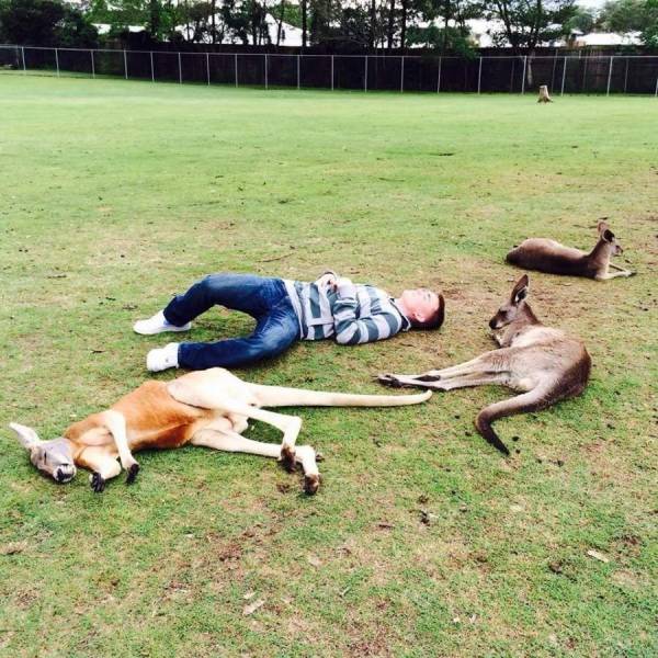 daily picdump 102 pics 35.html - 102 HD Photos | Premium Gallery 2018