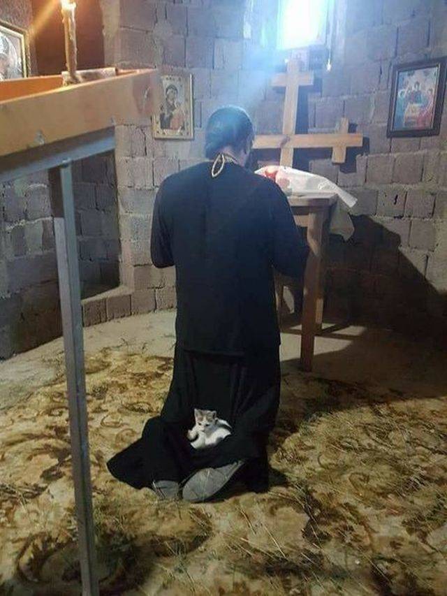 daily picdump 94 pics 43.html - 94 HD Photos | Premium Gallery 2018