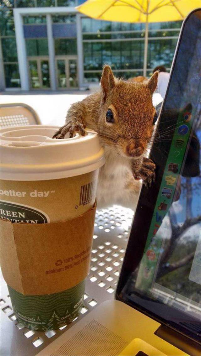 Daily Picdump