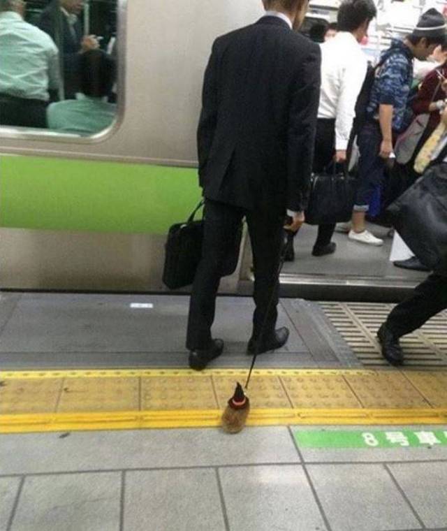 Hard-to-explain WTF Photos