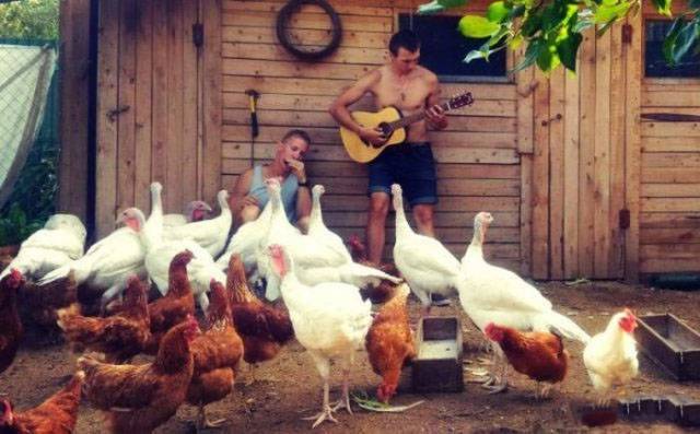 daily picdump 94 pics 18.html - 94 HD Photos | Premium Gallery 2018