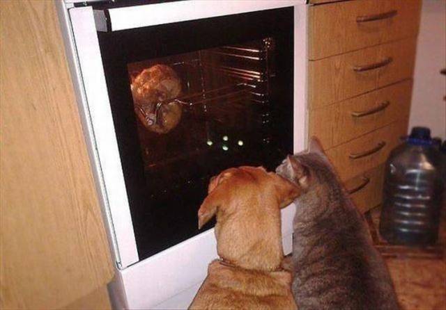 daily picdump 94 pics 18.html - 94 HD Photos | Premium Gallery 2018