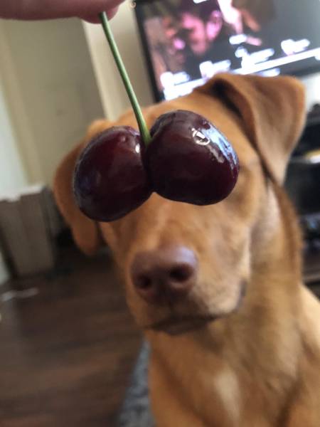 morning picdump 49 pics 2.html - 49 HD Photos | Premium Gallery 2018