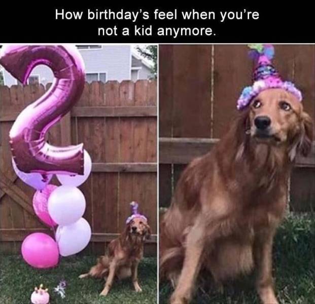 funny picdump 50 pics 6.html - 50 HD Photos | Premium Gallery 2018