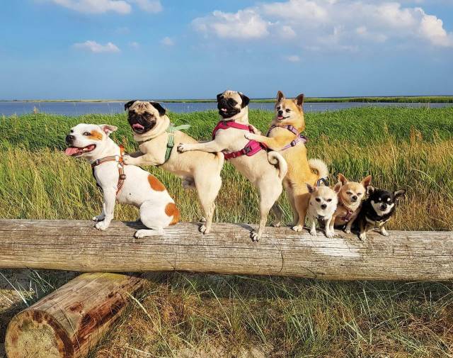 Daily Picdump