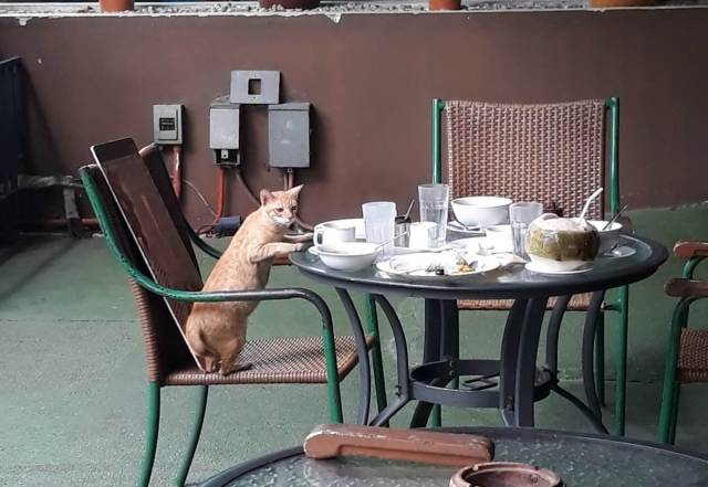 daily picdump 100 pics 43.html - 100 HD Photos | Premium Gallery 2018