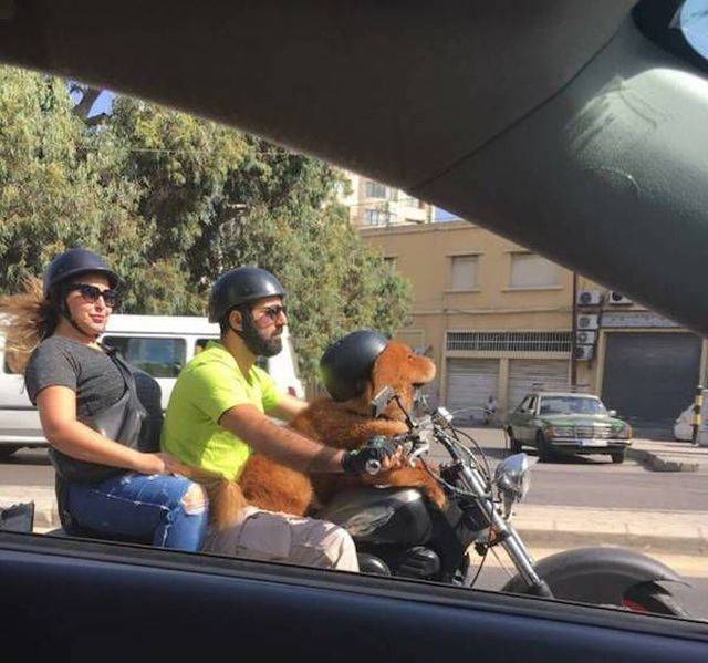 daily picdump 100 pics 43.html - 100 HD Photos | Premium Gallery 2018