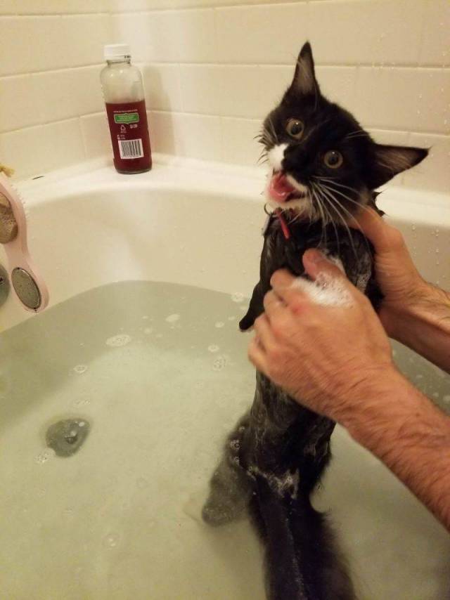 daily picdump 100 pics 43.html - 100 HD Photos | Premium Gallery 2018