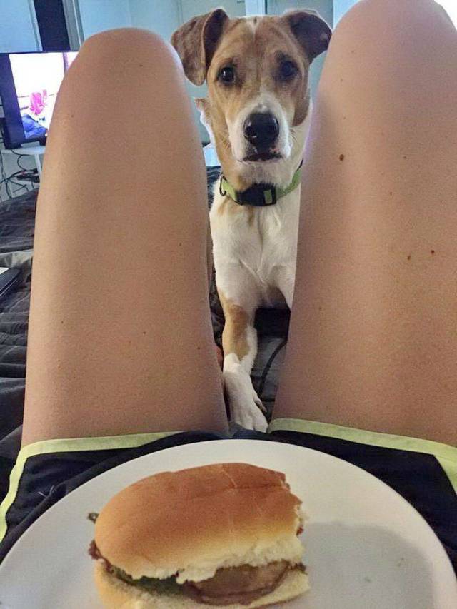 daily picdump 100 pics 43.html - 100 HD Photos | Premium Gallery 2018