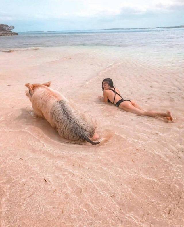 daily picdump 100 pics 43.html - 100 HD Photos | Premium Gallery 2018