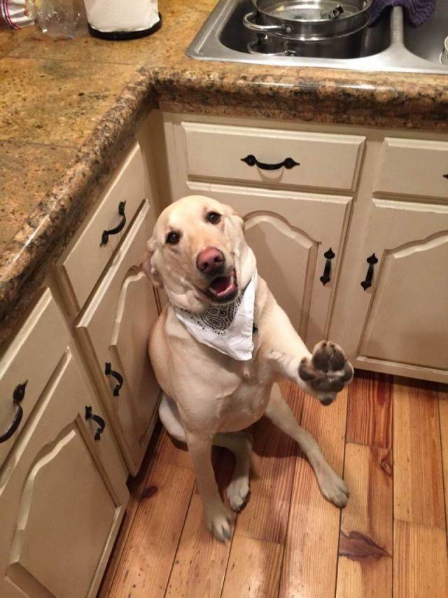 daily picdump 100 pics 43.html - 100 HD Photos | Premium Gallery 2018