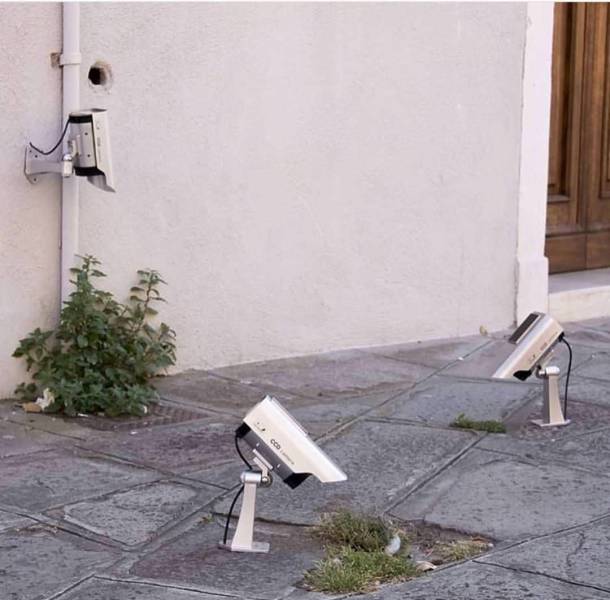 daily picdump 96 pics 18.html - 96 HD Photos | Premium Gallery 2018