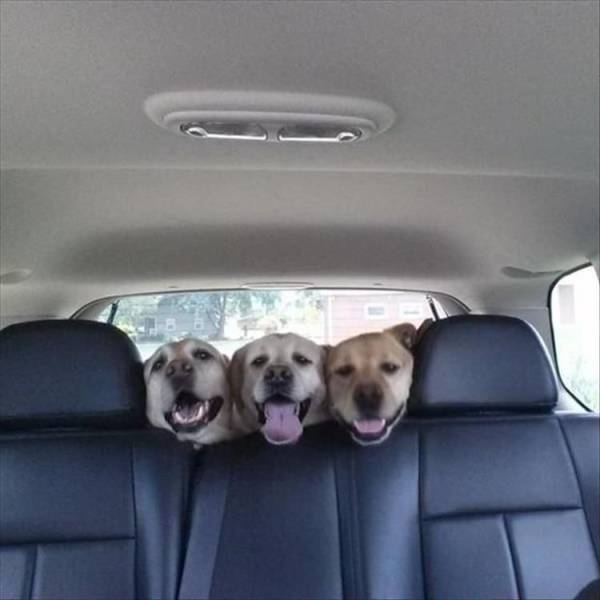 daily picdump 96 pics 18.html - 96 HD Photos | Premium Gallery 2018