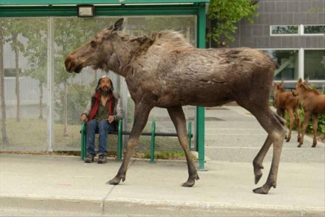 daily picdump 96 pics 18.html - 96 HD Photos | Premium Gallery 2018