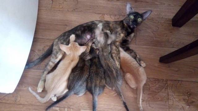 daily picdump 96 pics 18.html - 96 HD Photos | Premium Gallery 2018