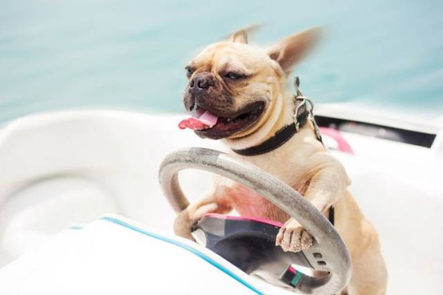 daily picdump 96 pics 18.html - 96 HD Photos | Premium Gallery 2018
