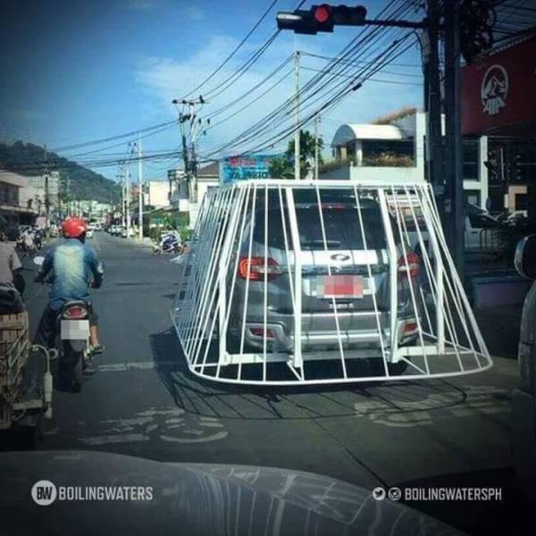 Morning Picdump