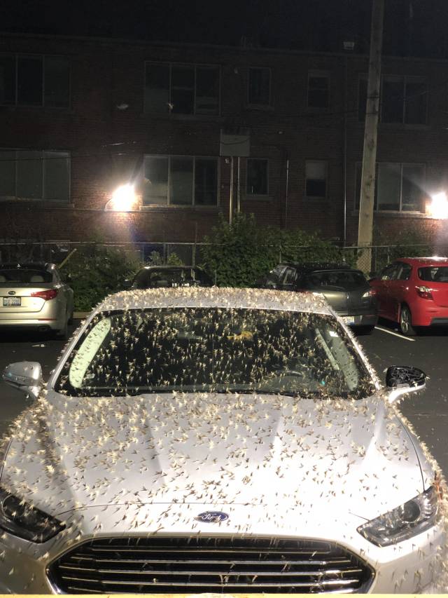 morning picdump 51 pics 3.html - 51 HD Photos | Premium Gallery 2018
